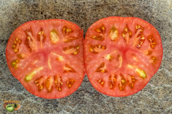 PFUNDS TOMATE - Image 6