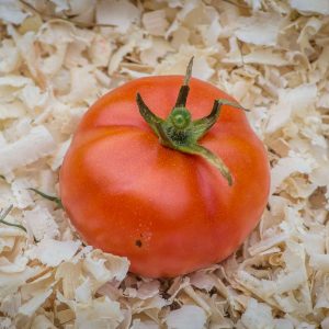 pomme rouge de montpellier
