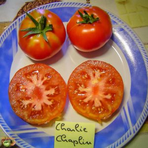 charlie chaplin