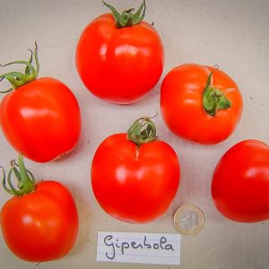giperbola Гипербола­