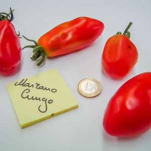 marzano lungo