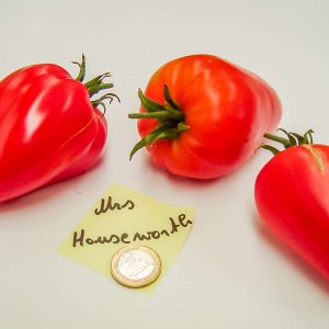 mrs houseworth