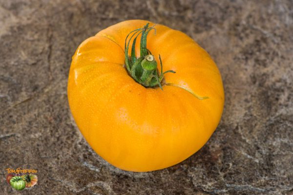 AMISH ORANGE SHERBET - Image 3