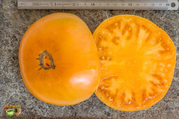 AMISH ORANGE SHERBET - Image 7