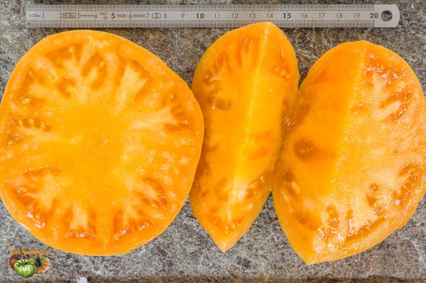 AMISH ORANGE SHERBET - Image 8