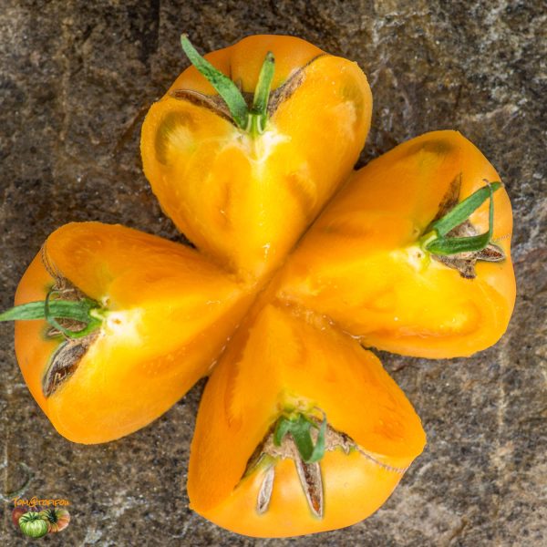 AMISH ORANGE SHERBET - Image 10