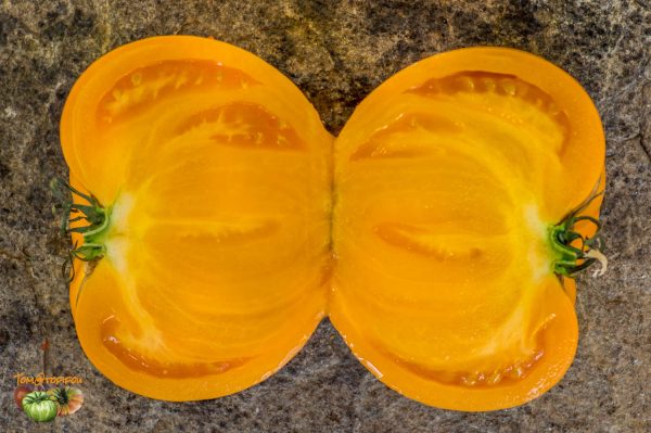 AMISH ORANGE SHERBET - Image 9