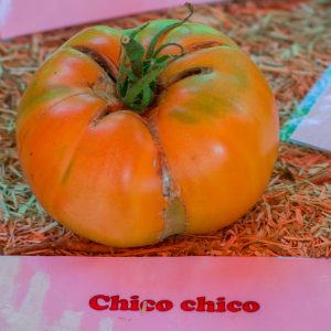 chico chico