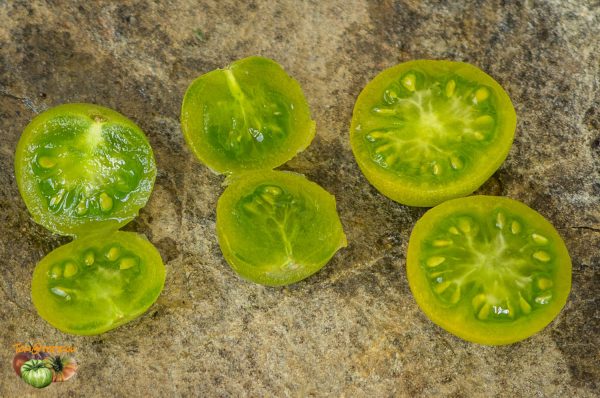 GREEN KRIM CHERRY - Image 3