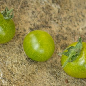 GREEN KRIM CHERRY