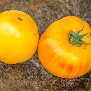 E.T - E.T TOMATO