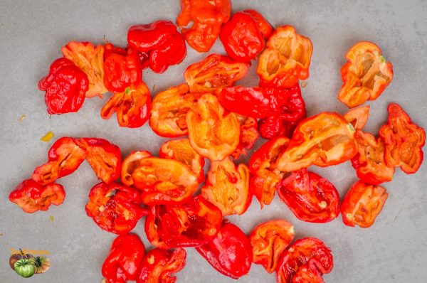 carolina reaper