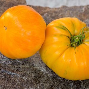 ORANGE JAZZ
