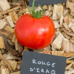 rouge d'irak