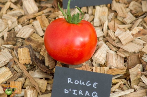 rouge d'irak