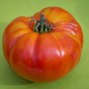 chudo altaya Чудо Алтая