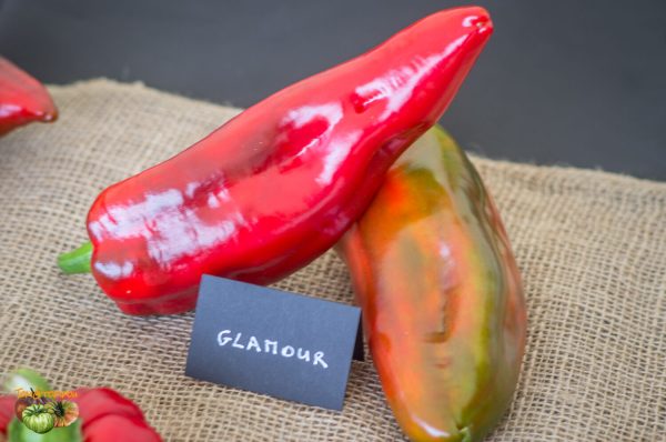 glamour glamur piment 11 septembre 2016