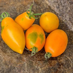 ORANGE CAPRESE