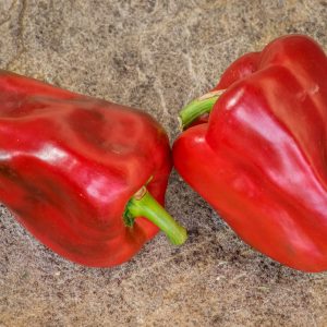 NOCERA ROSSO