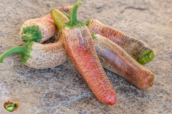 FARMER'S JALAPENO