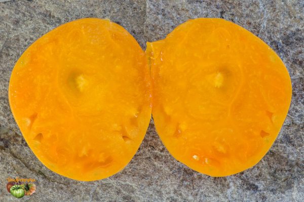 ROSALIE'S EARLY ORANGE - Image 5