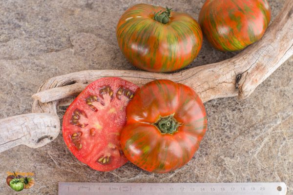 SURPRIZ BEEFSTEAK - Image 6