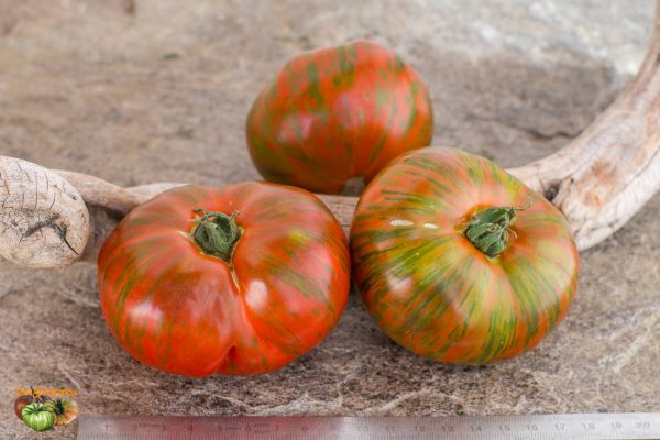 SURPRIZ BEEFSTEAK - Image 3