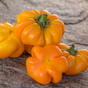MANDARINE