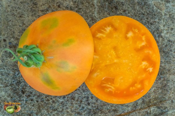 PERZEVIDNIY ORANGEVIY - Image 7