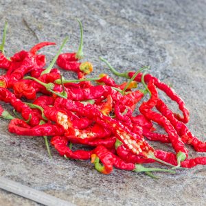 JWALA PEPPER