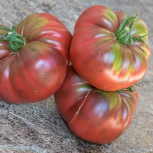MARIANNA'S PEACE x CHEROKEE PURPLE