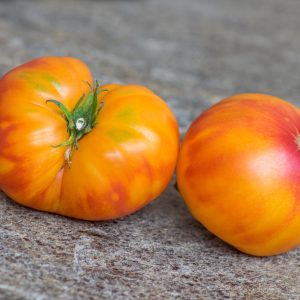ORANGE ORANGUTAN - Оранжевый Орангутан