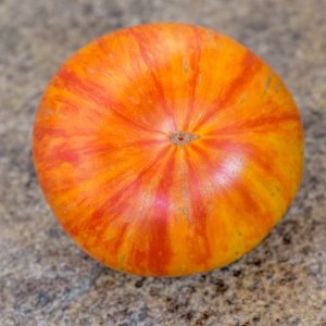 ORANGE ZEBRA