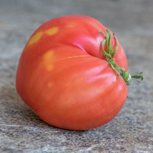 OTETS GORIO - Отец Горио
