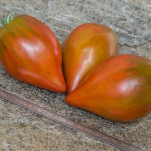 LINNAEUS HEART