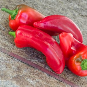 ROSSO DUEMILA