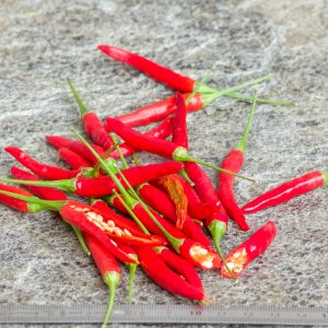 PIMENT OISEAU - BIRD CHILI