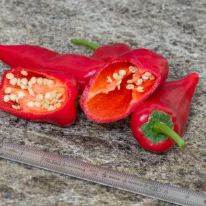 PIMENT de BRESSE