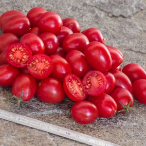 POMODORI D'ISCHIA