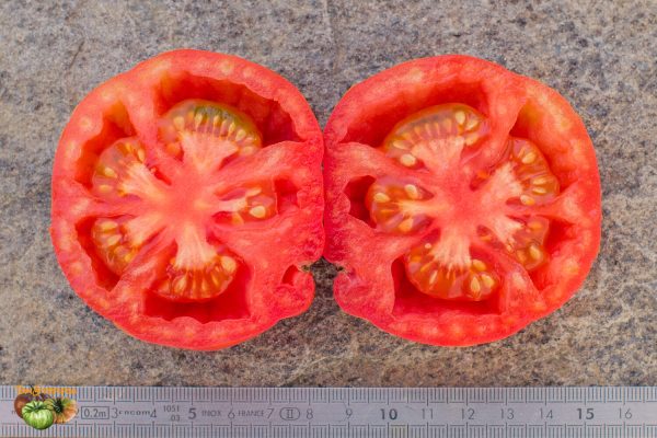 SCHNELLFRUCHTENDE AUS WIROWSK - Image 5