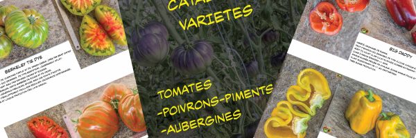 Catalogue .pdf