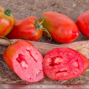 gyÖngyÖsi paprika