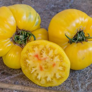 lenny and gracie's kentucky heirloom