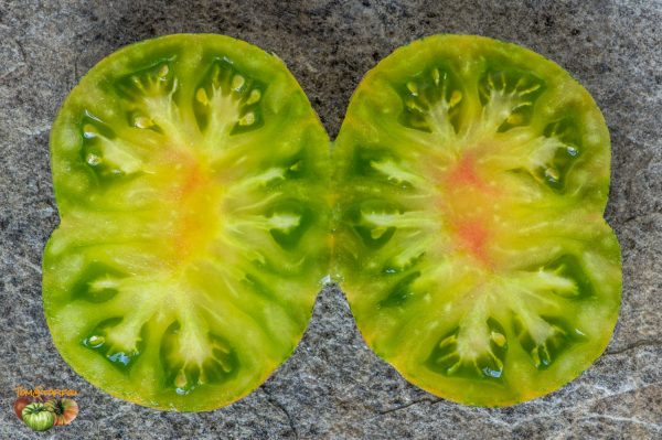 ananas zebra verte 06 juillet 2019 4