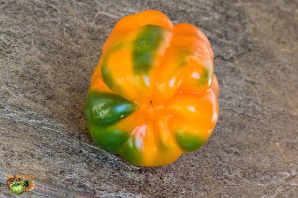 ariane orange 26 août 2019 3