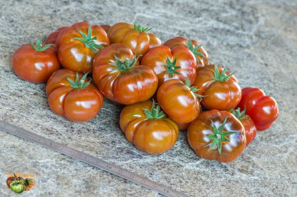 chocolate marmelade 20 septembre 2019 2