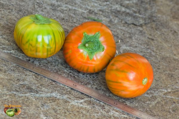 cookstone orange 15 août 2019 3