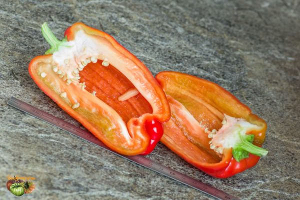 diamond pepper