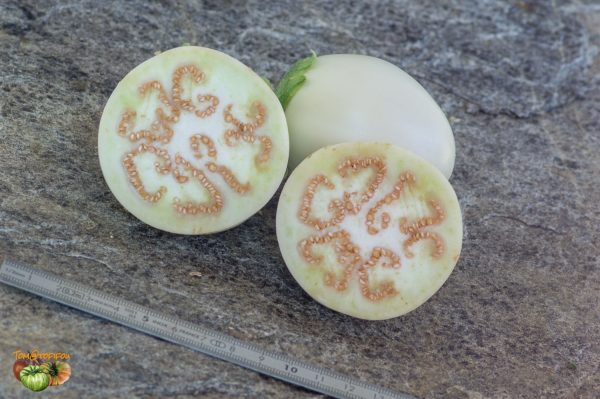 japanese white eggs 23 août 2019 3