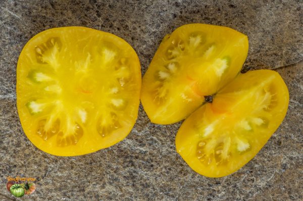 kazakstan yellow 08 juillet 2019 4
